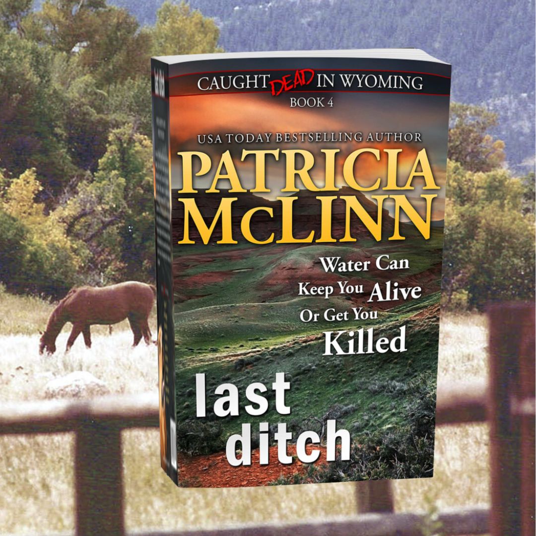 Caught Dead in Wyoming Bundle Bks 4-7 (ebook)