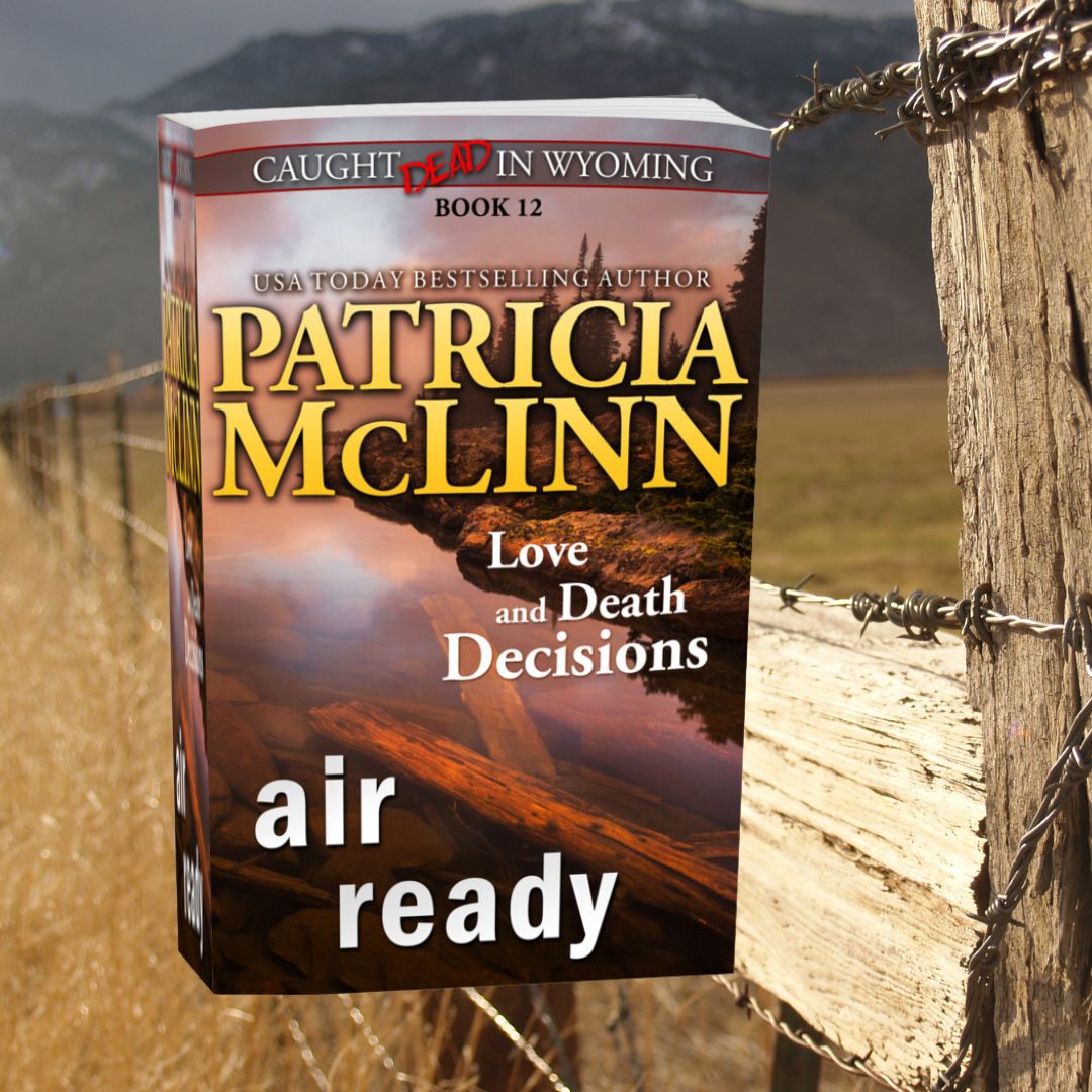 Air Ready (paperback)