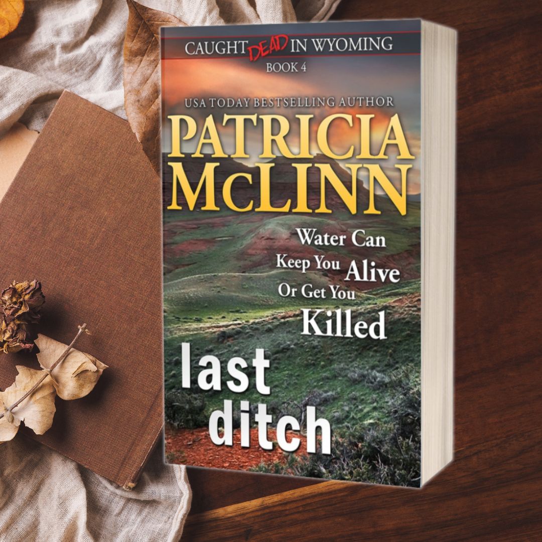 Caught Dead in Wyoming Bundle - Bks 1-4 (hardback)