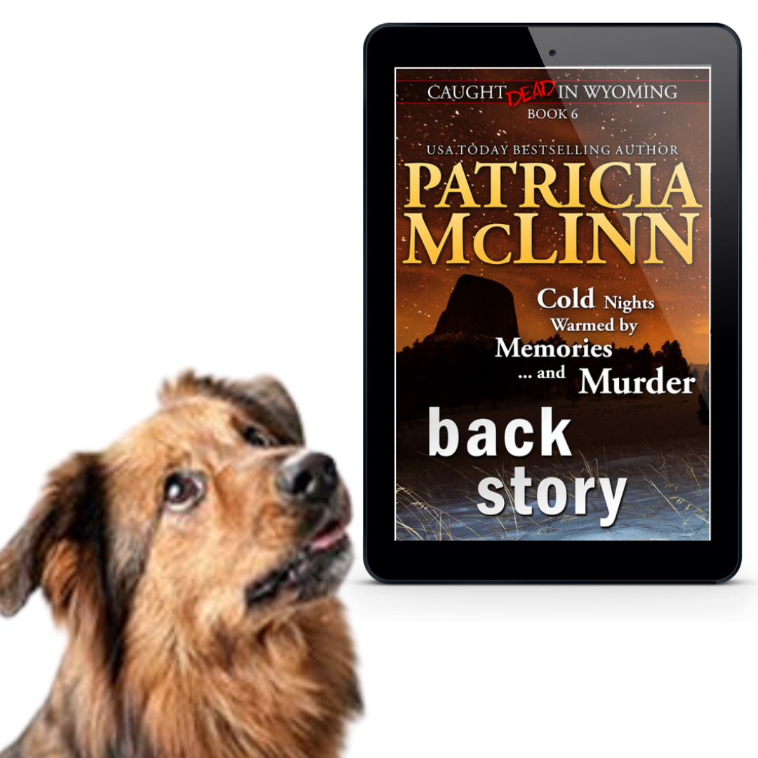 Caught Dead in Wyoming Bundle Bks 4-7 (ebook)