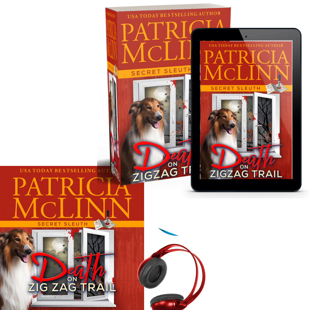 Secret Sleuth mystery series Bundle - Bks 1-7 (paperback)