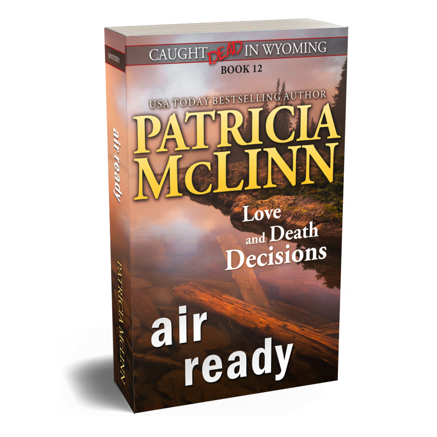 Air Ready (paperback)