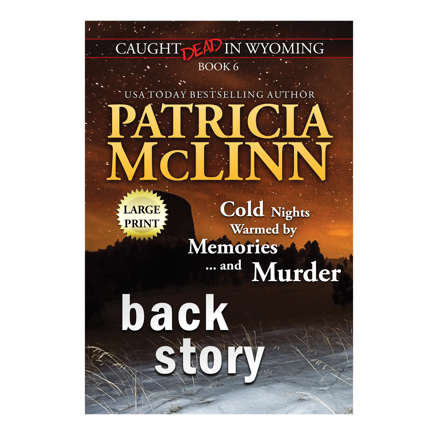 Back Story (large print)