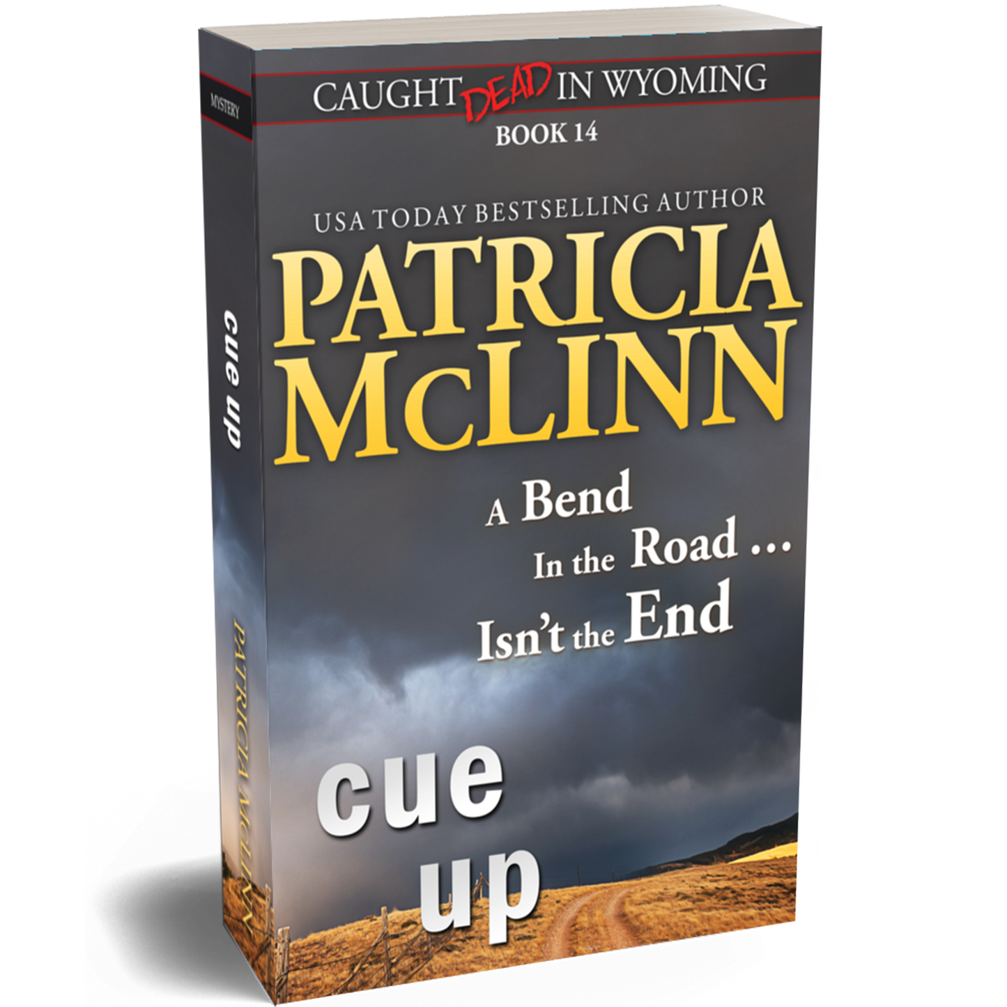 Cue Up (paperback)