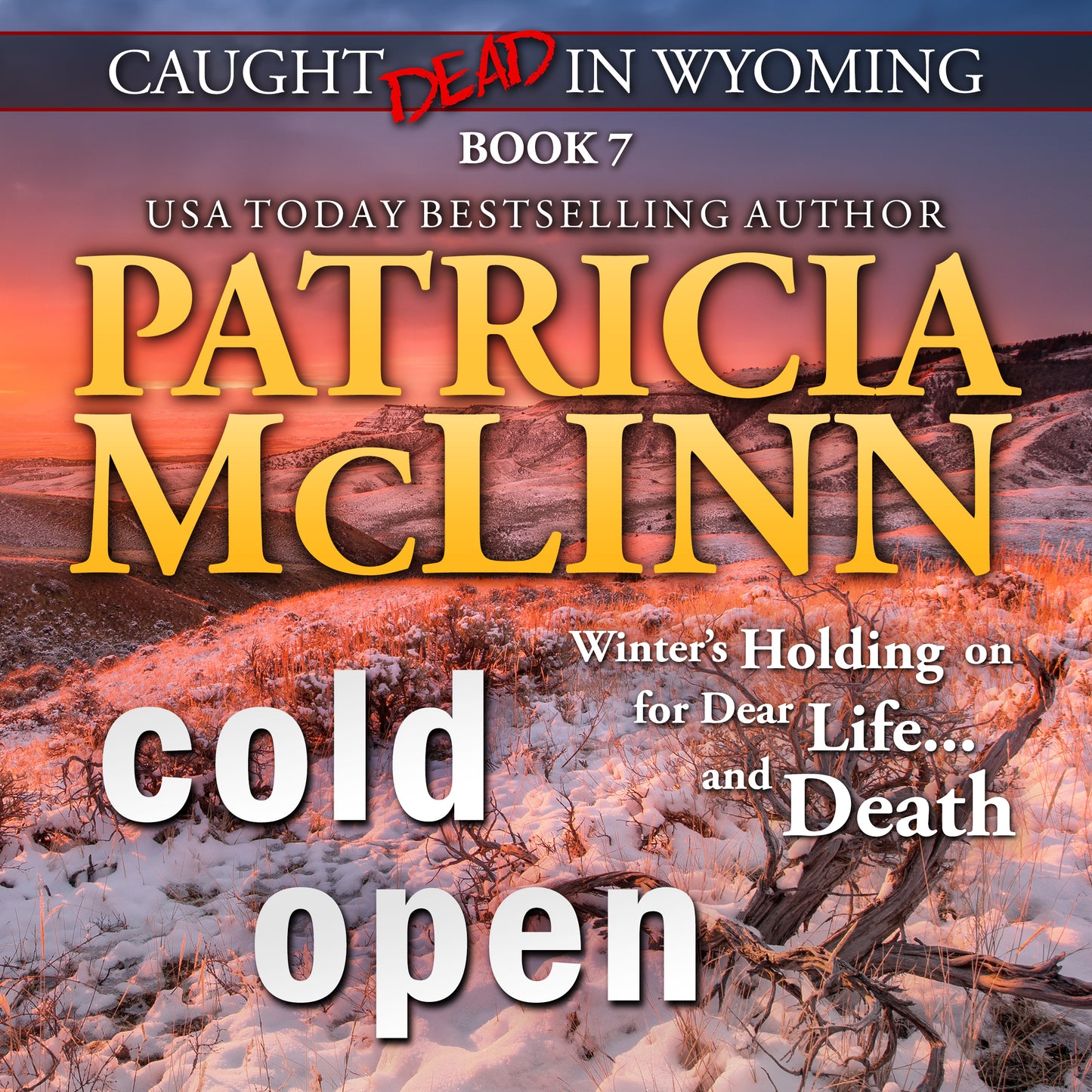 Cold Open Audiobook - Patricia McLinn