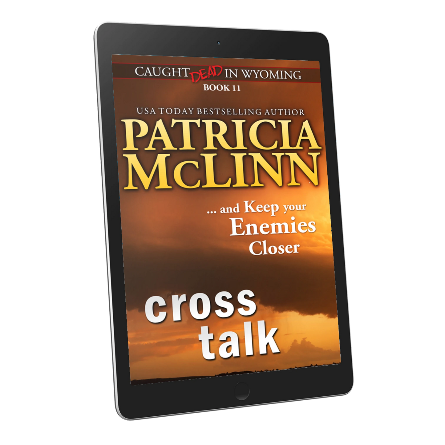 Cross Talk (ebook)