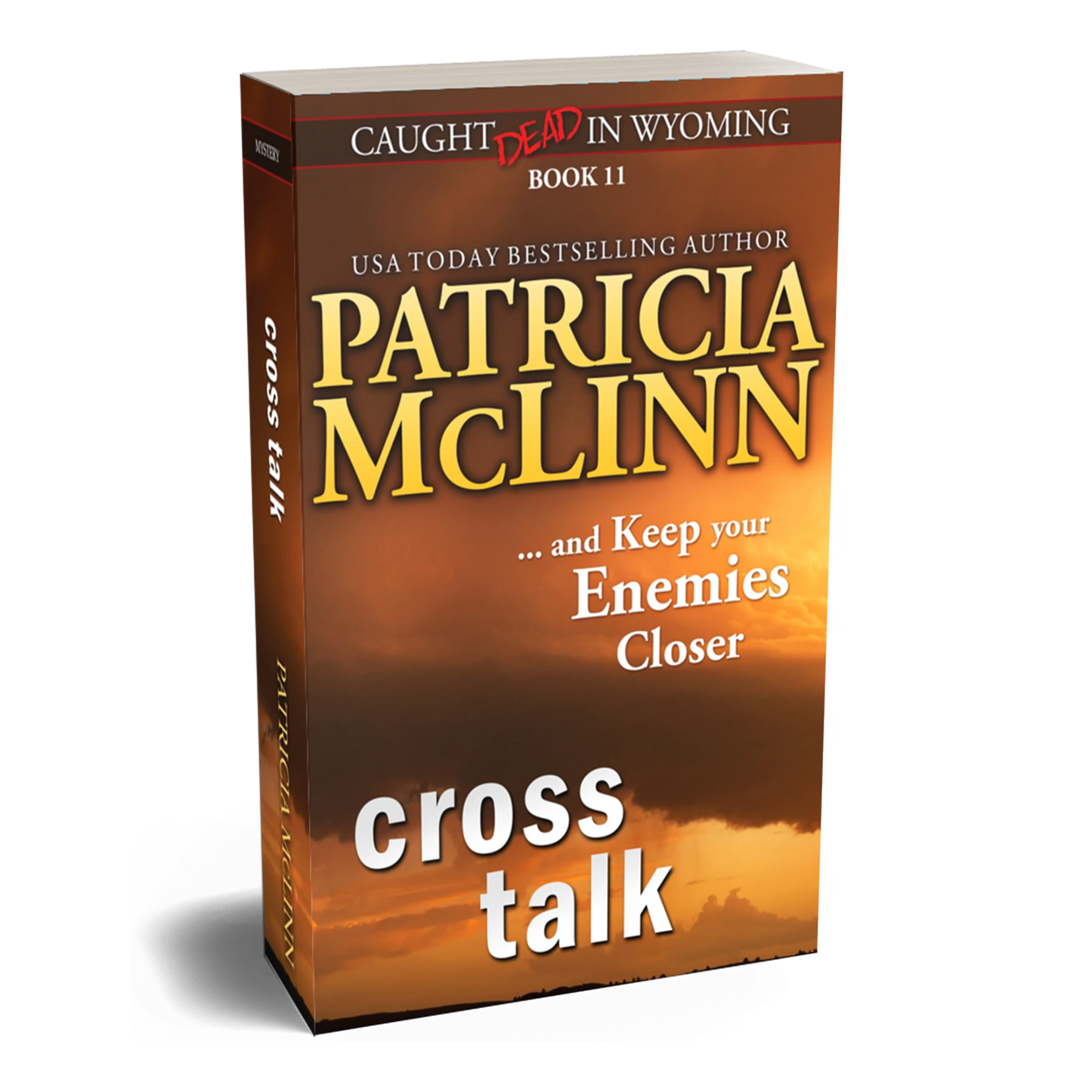 Cross Talk (paperback)