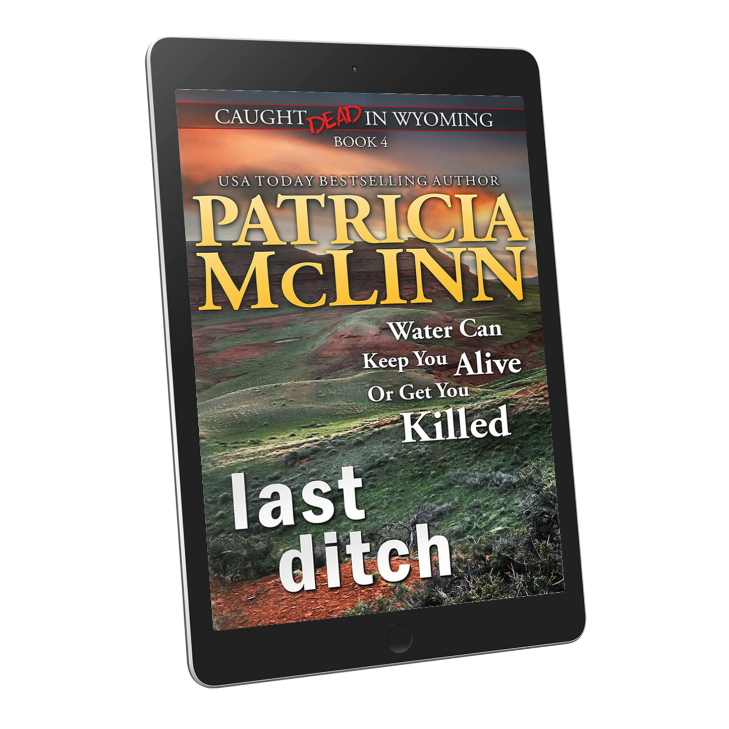 Last Ditch (ebook)