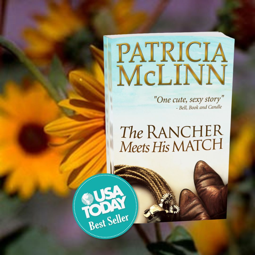 The Rancher Meets His Match (paperback)
