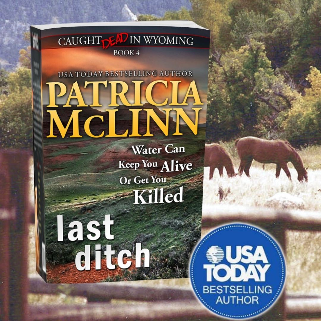 Last Ditch (hardback)