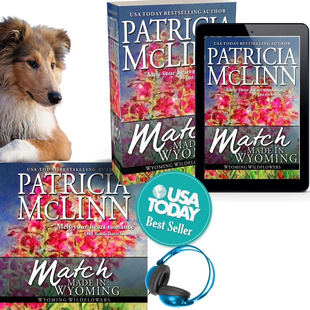 Match Made in Wyoming (ebook)