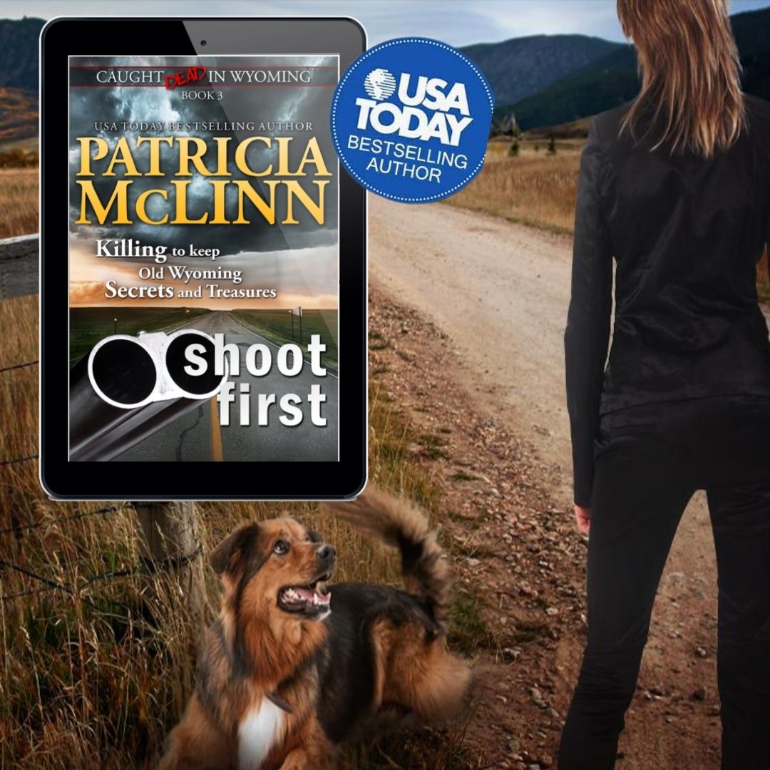 Shoot First (ebook)