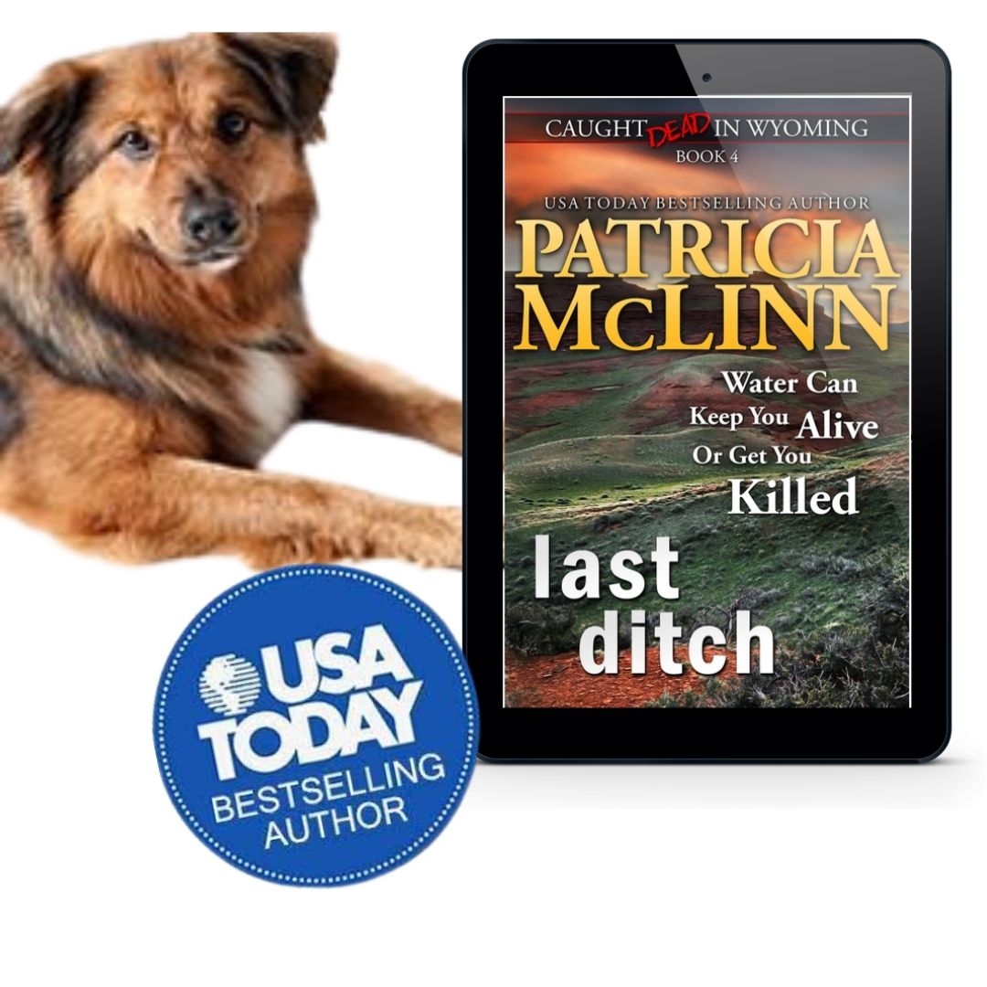 Last Ditch (ebook)