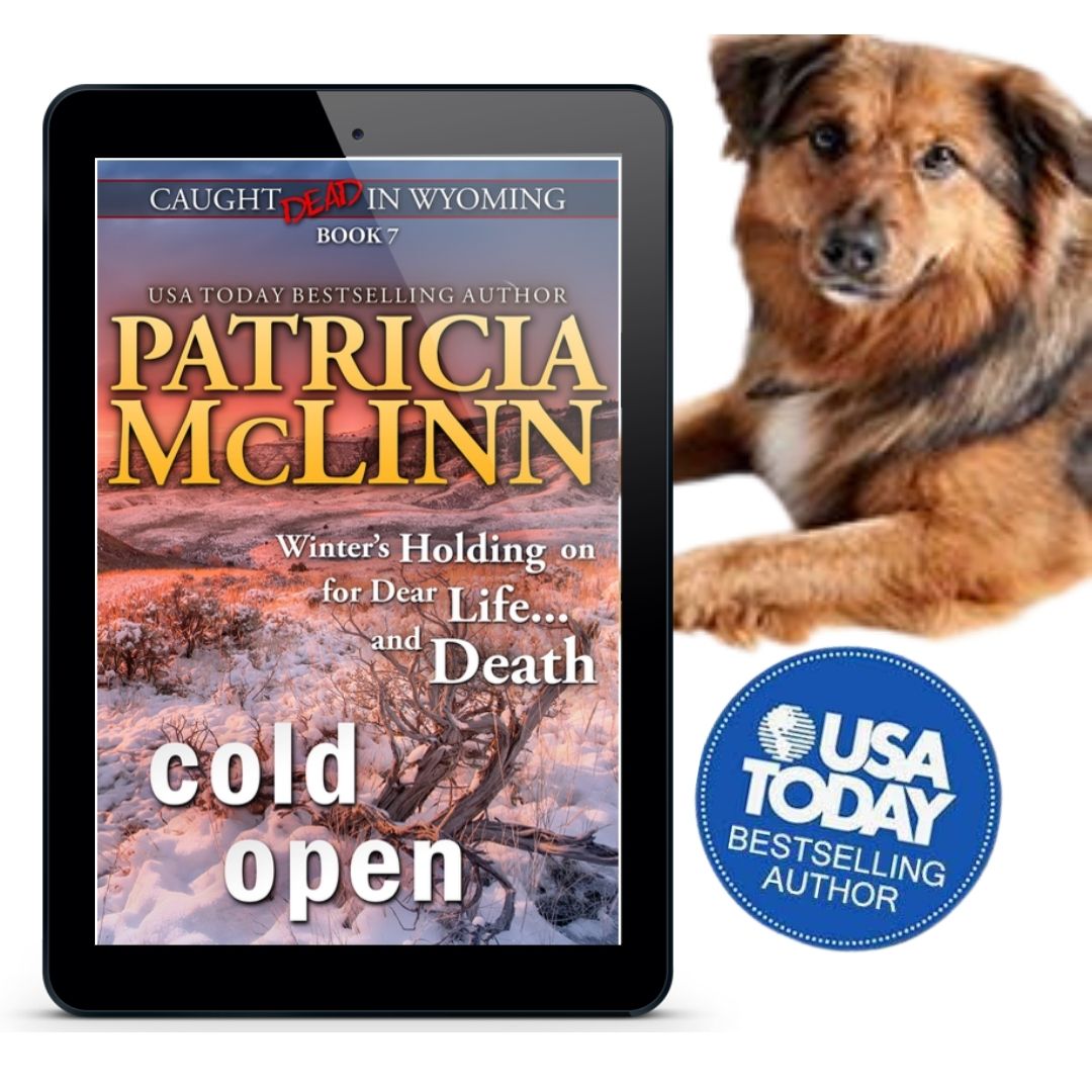 Cold Open (ebook)