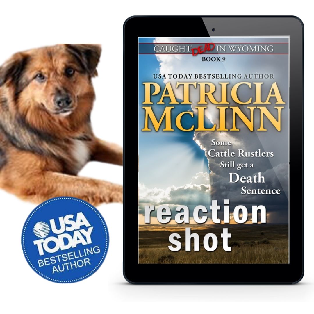 Reaction Shot (ebook)