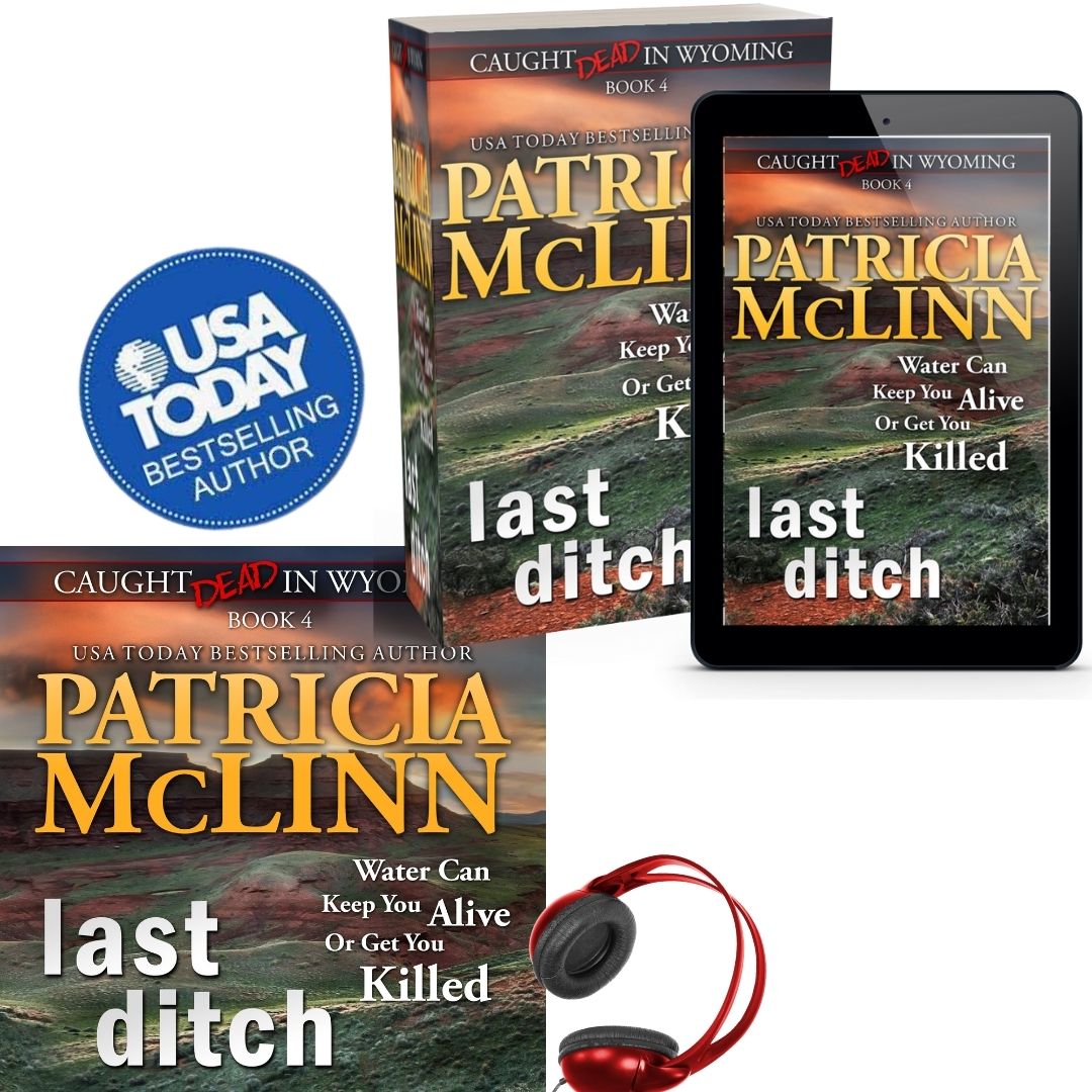 Last Ditch (paperback)