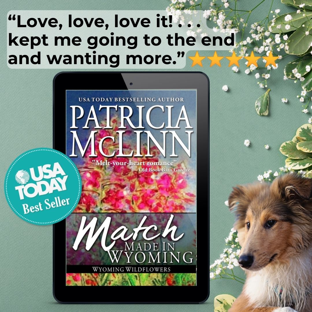 Match Made in Wyoming (ebook)