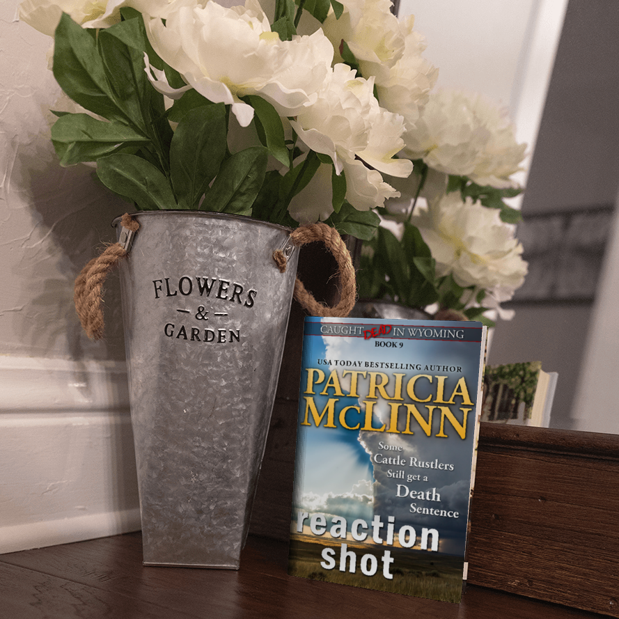 Reaction Shot (hardback)