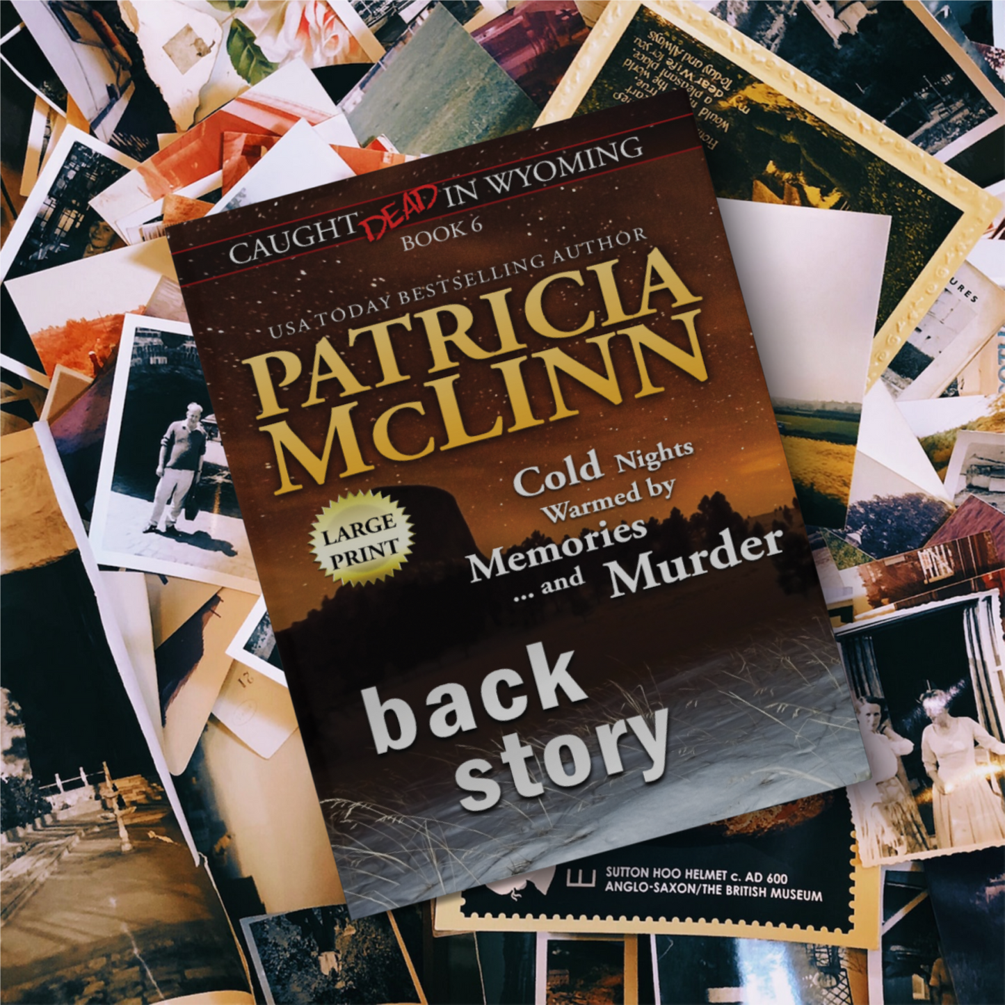 Back Story (large print)