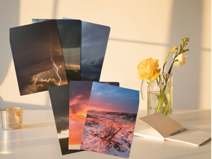 Caught Dead in Wyoming - Notebook Bundle (200 Page Notebooks)