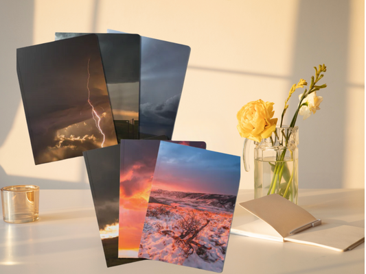 Caught Dead in Wyoming - Notebook Bundle (200 Page Notebooks)