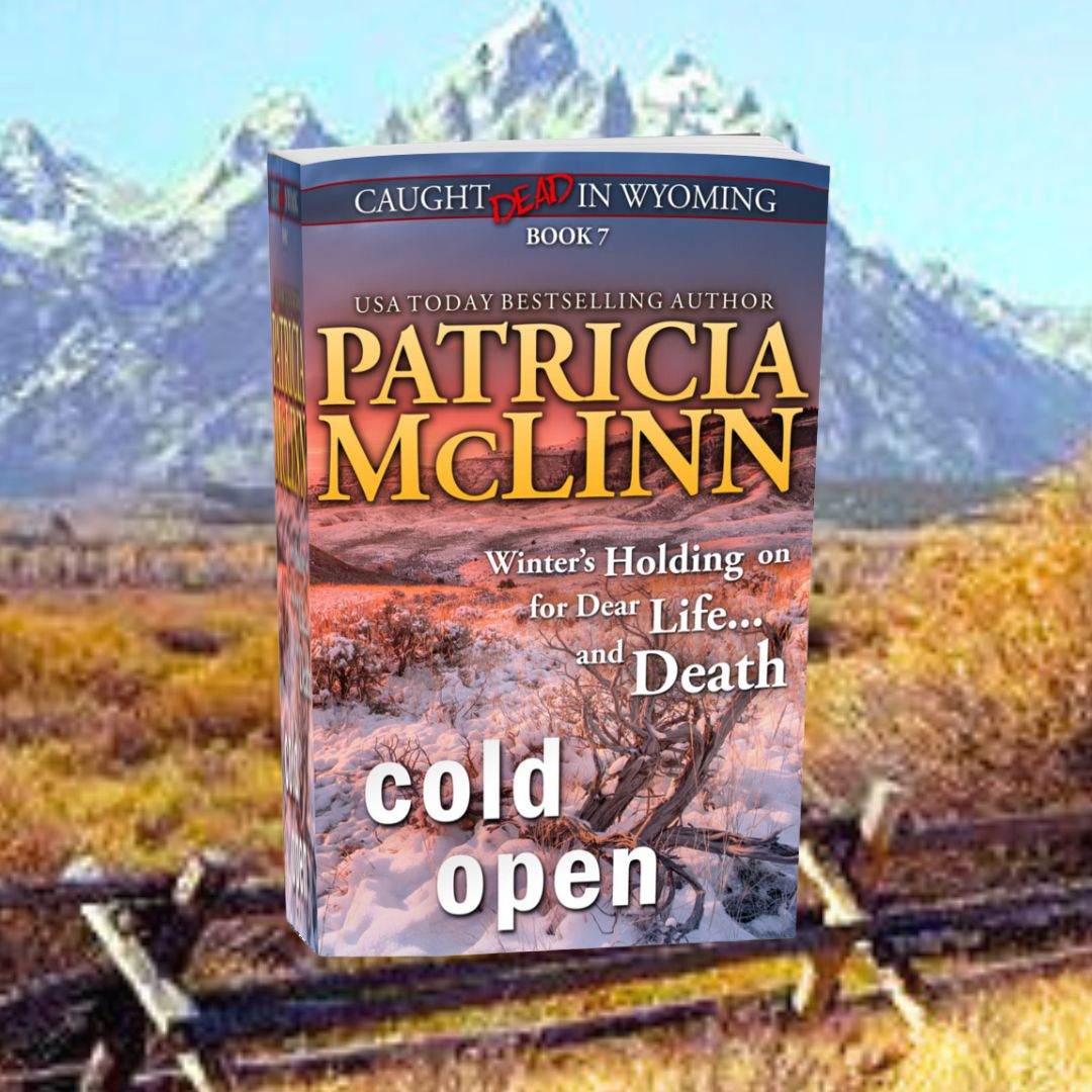 Cold Open - Paperback
