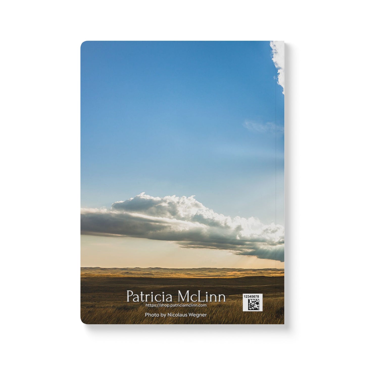 Reaction Shot Softcover Journal