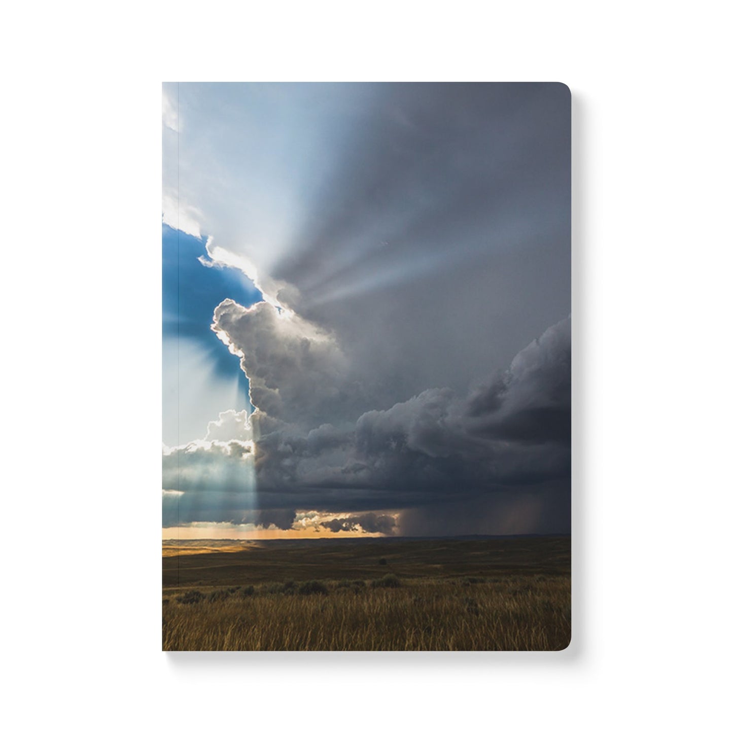 Caught Dead in Wyoming - Notebook Bundle (100 Page Notebooks)