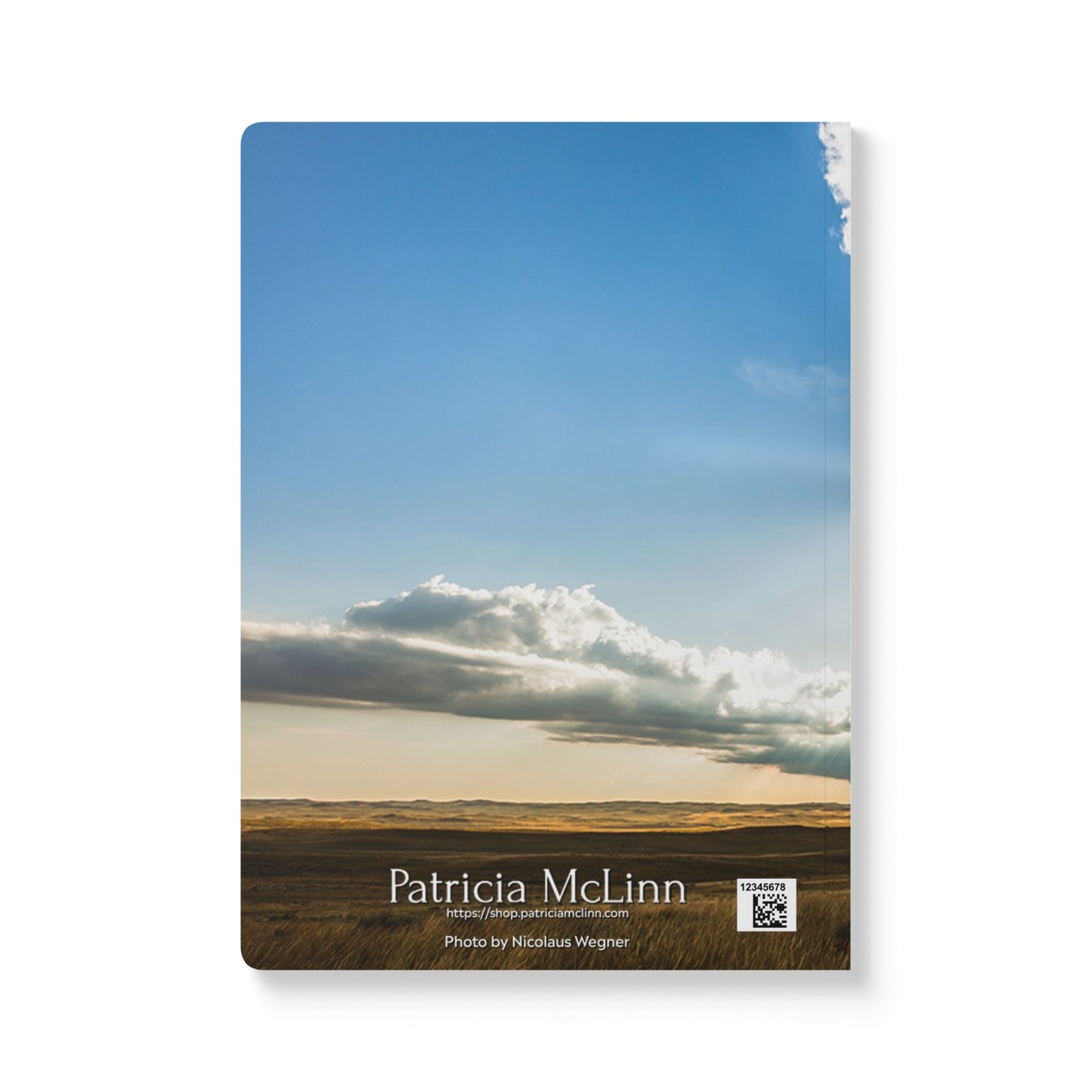 Reaction Shot Softcover Journal