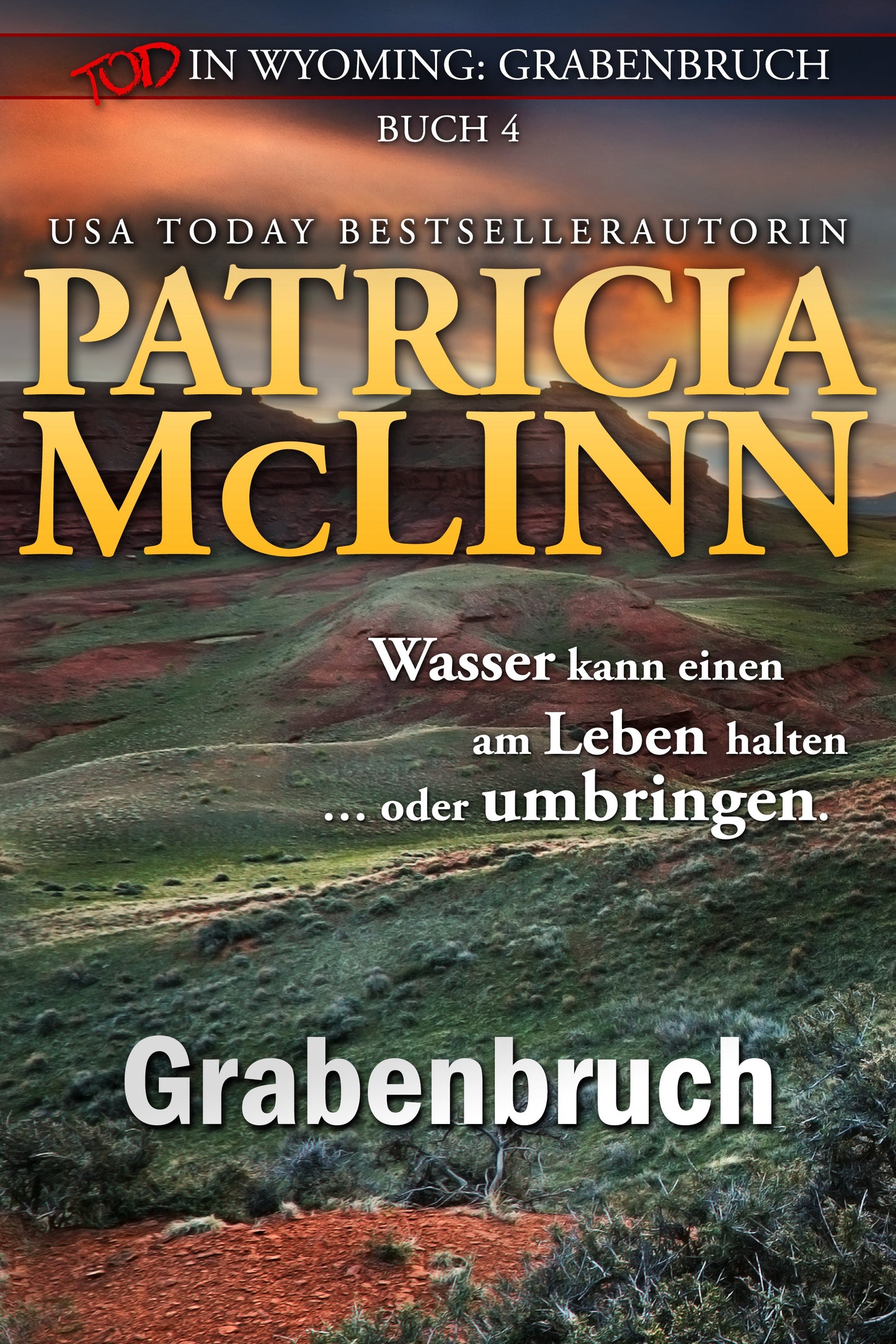 Tod in Wyoming: Grabenbruch - Patricia McLinn