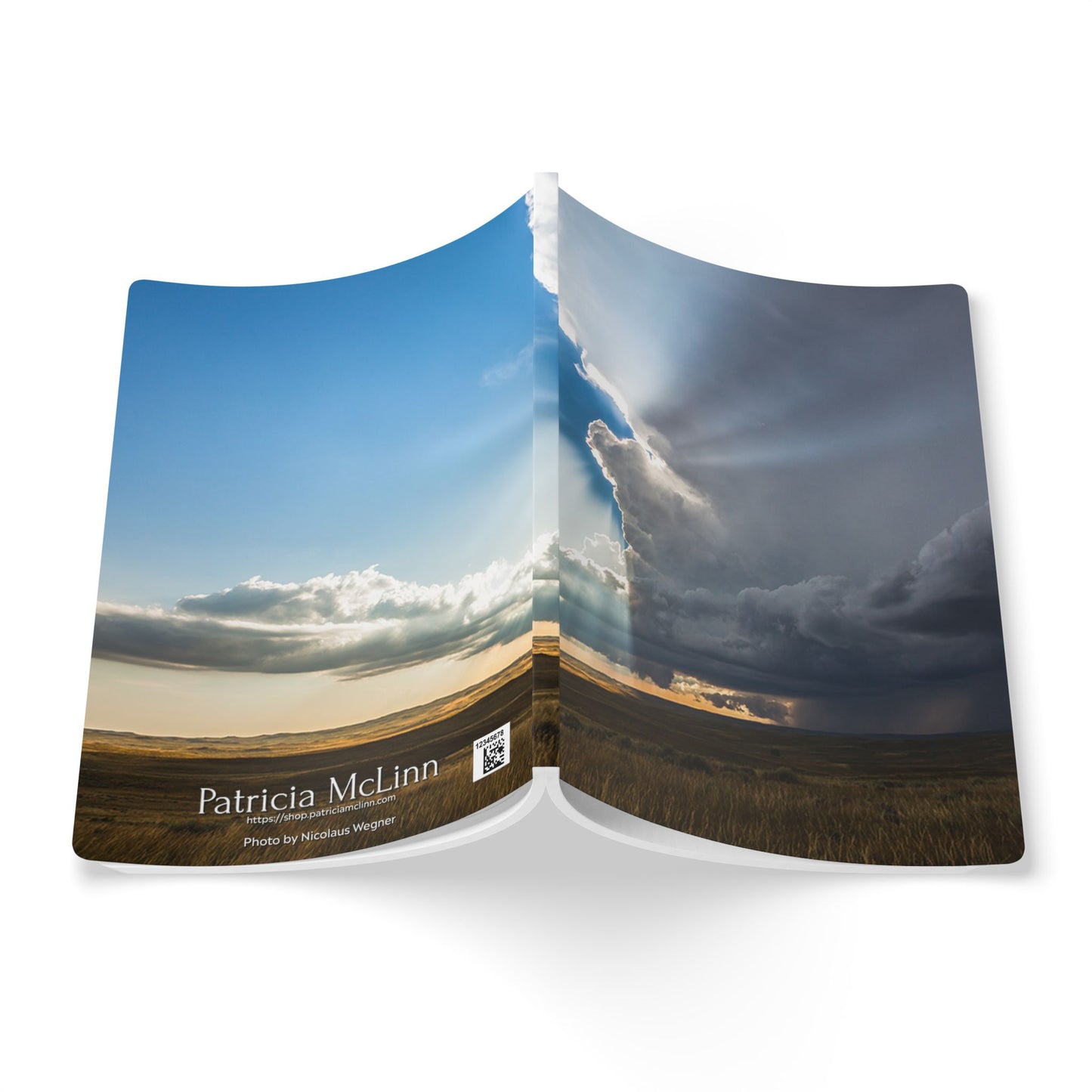 Reaction Shot Softcover Journal