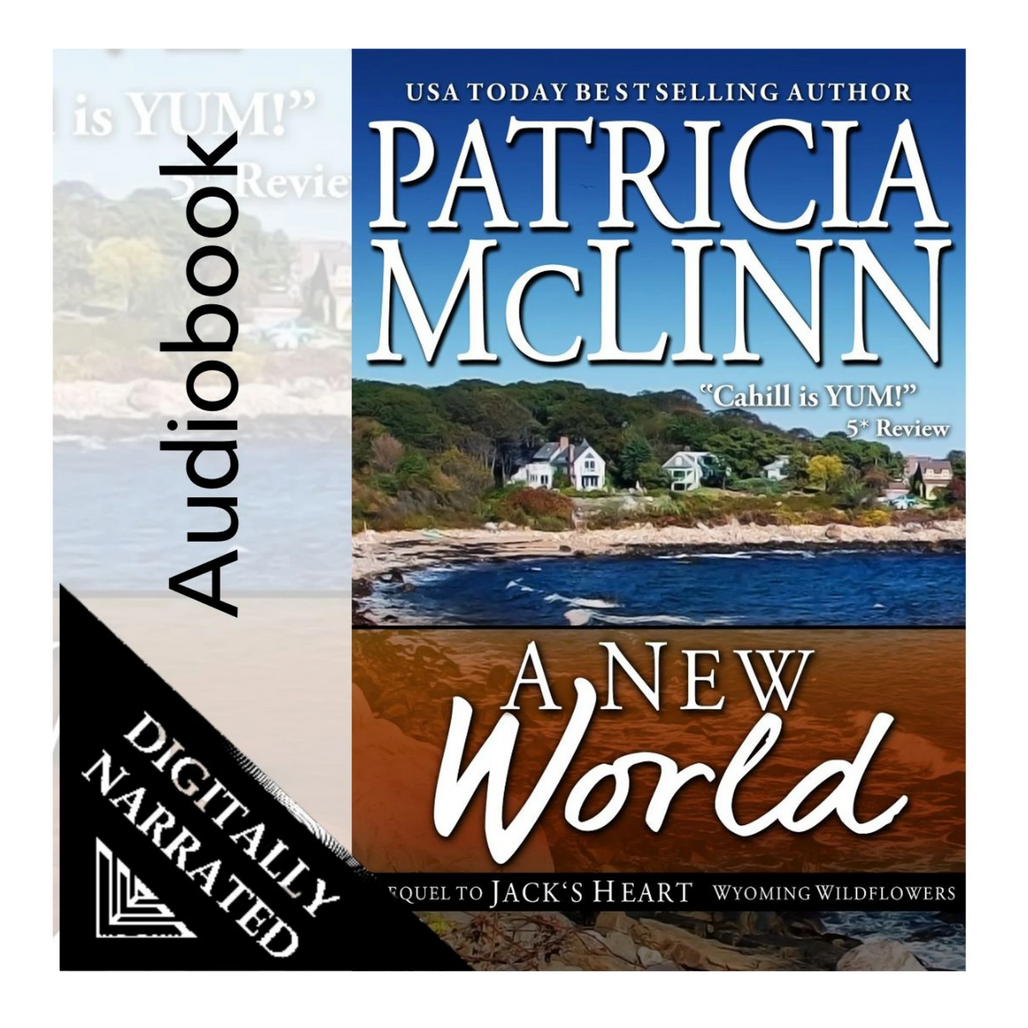 A New World (audiobook)