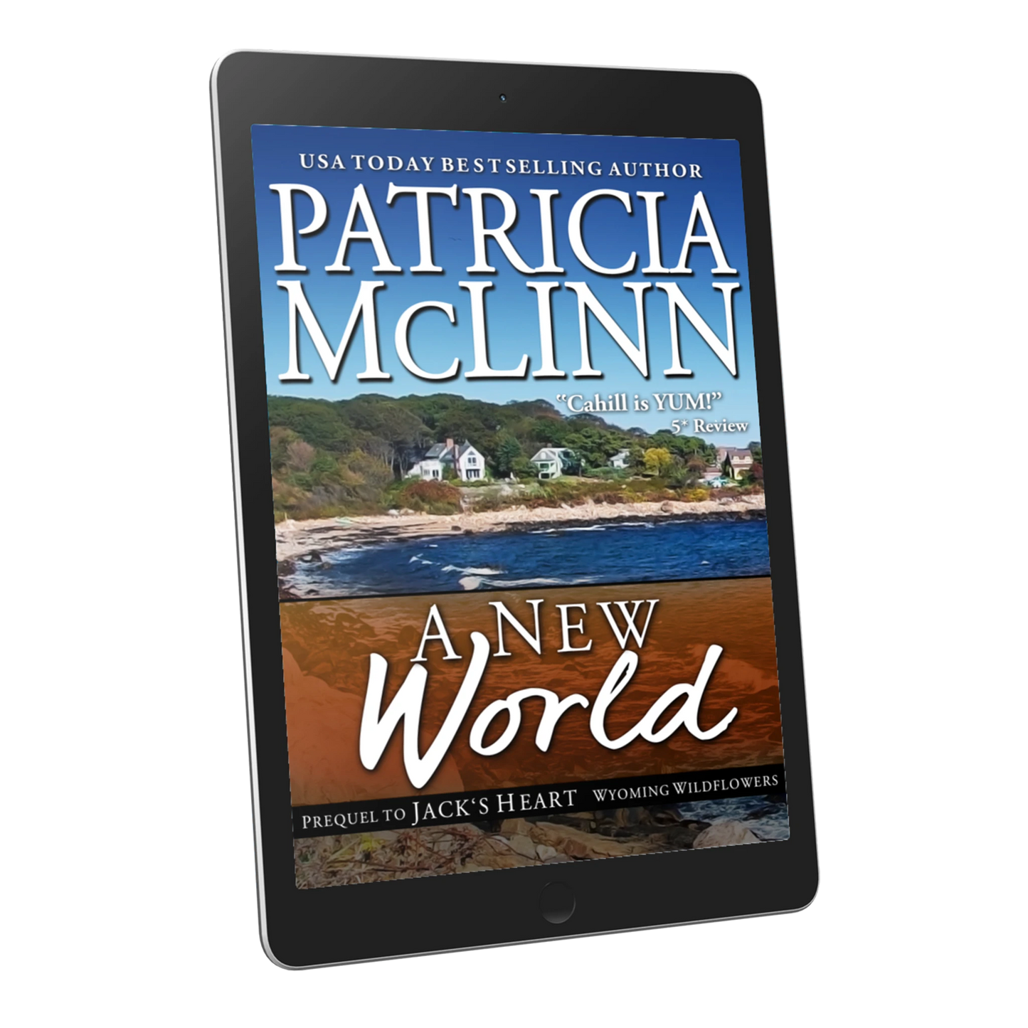 A New World (ebook)