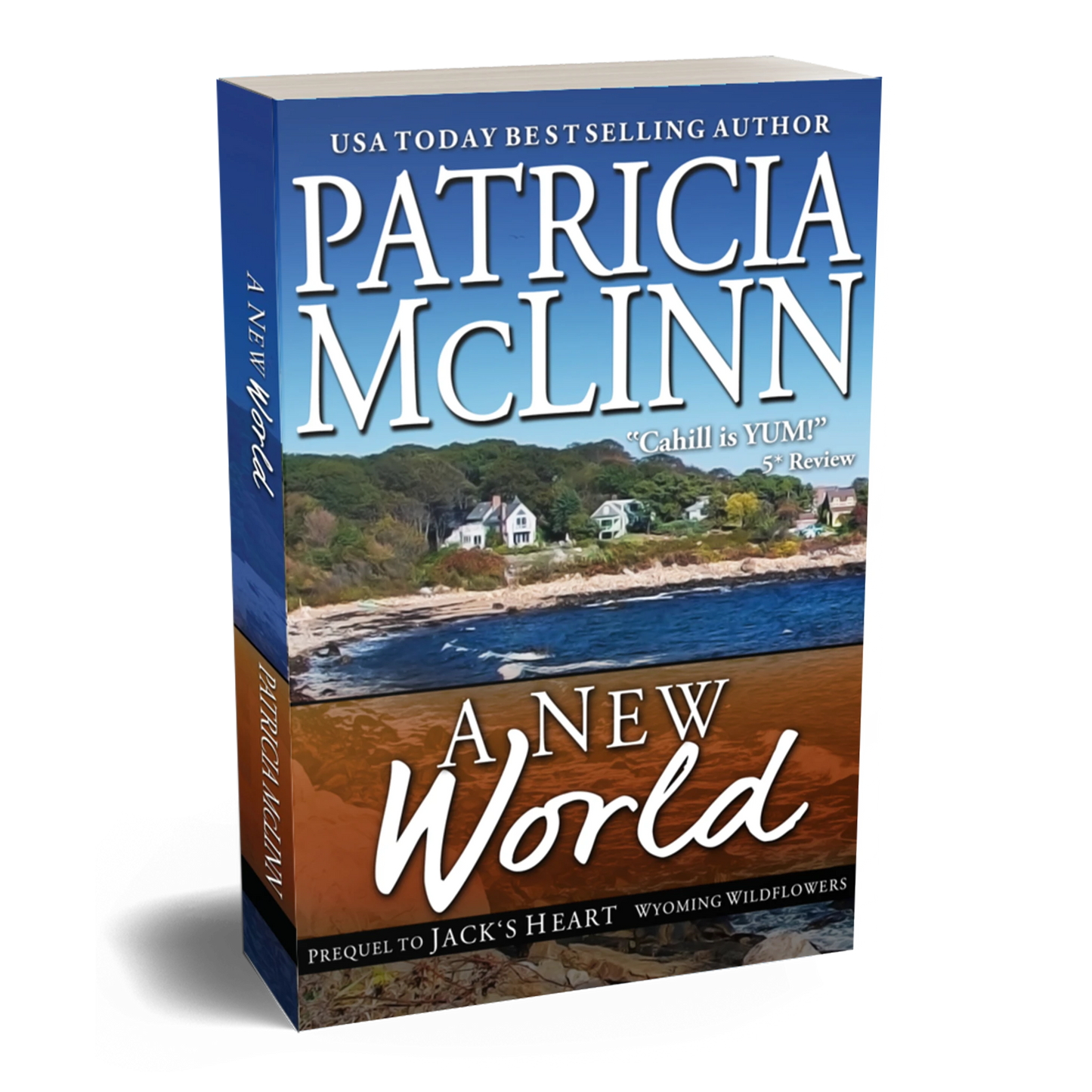 A New World (paperback)