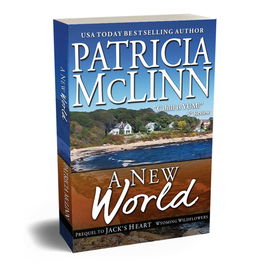 A New World (paperback)