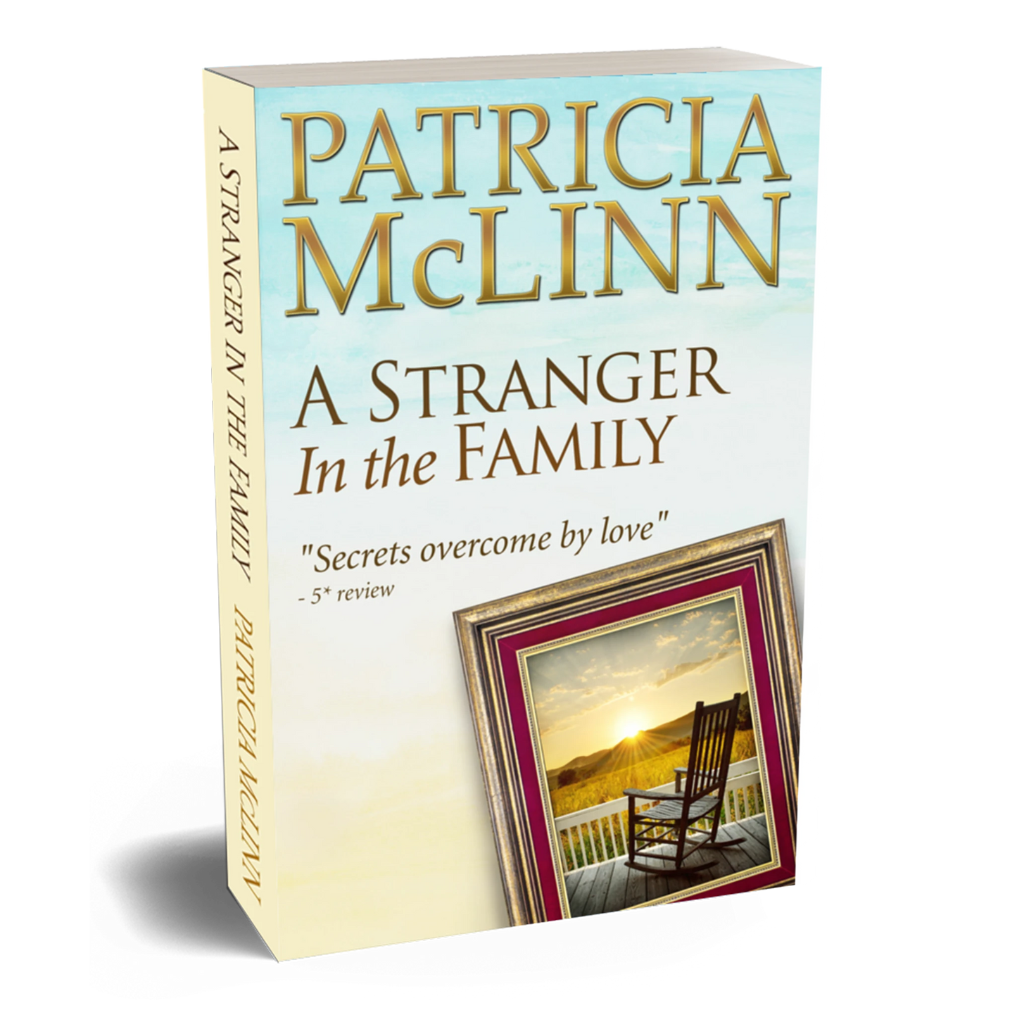 A Stranger in the Family (paperback)