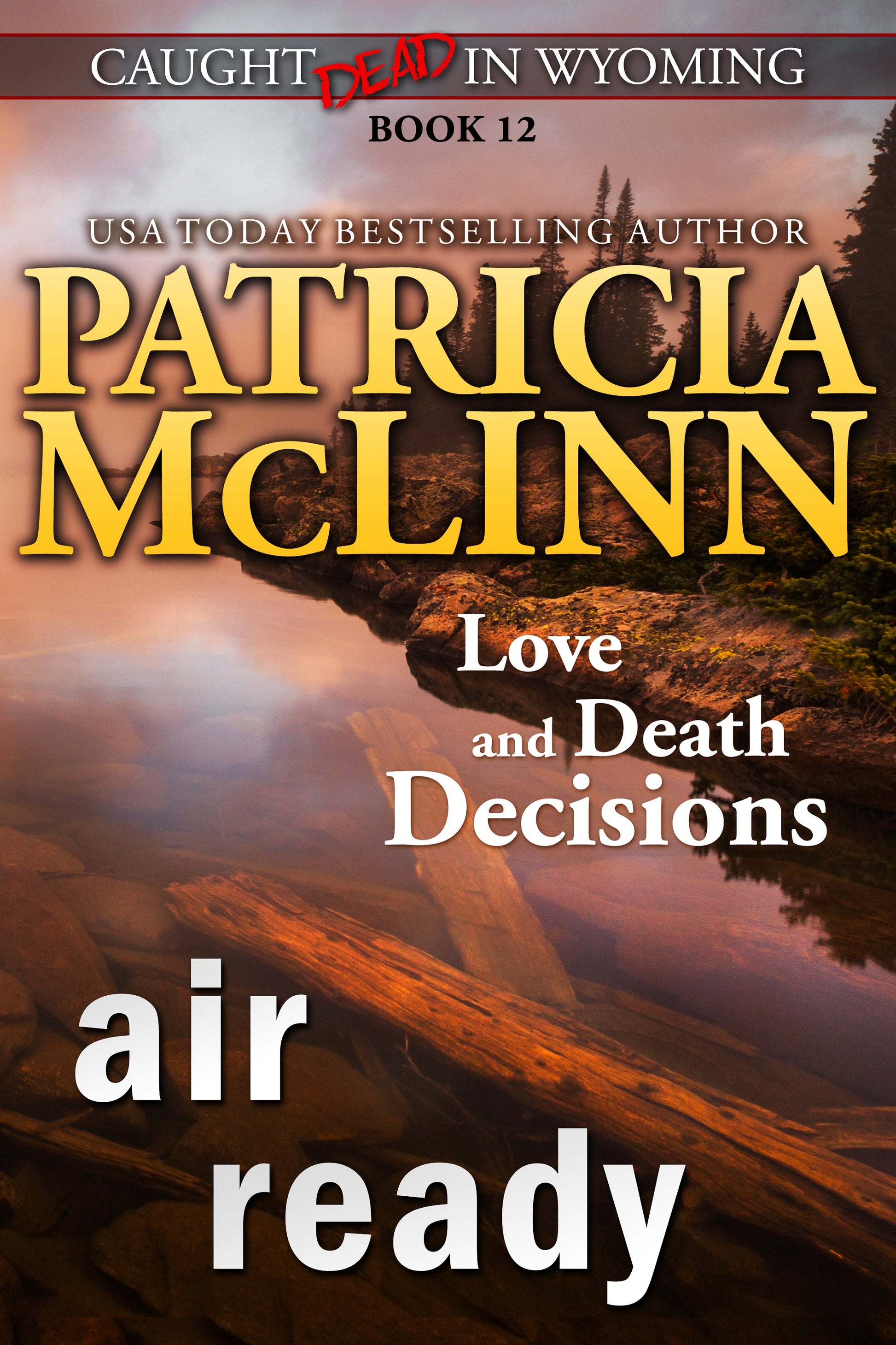 Air Ready - Patricia McLinn