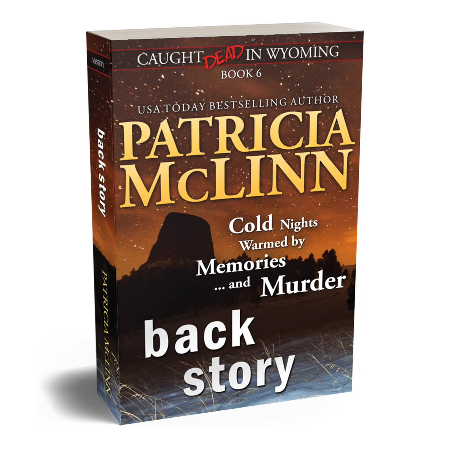 Back Story (paperback)