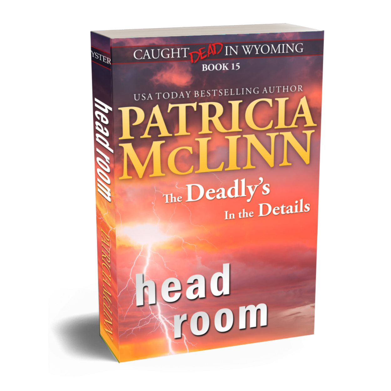 Head Room (paperback)