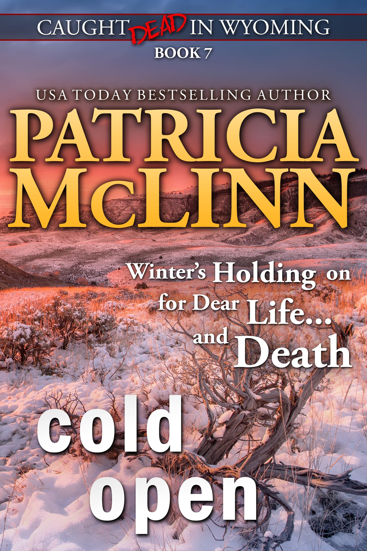 Cold Open - Patricia McLinn