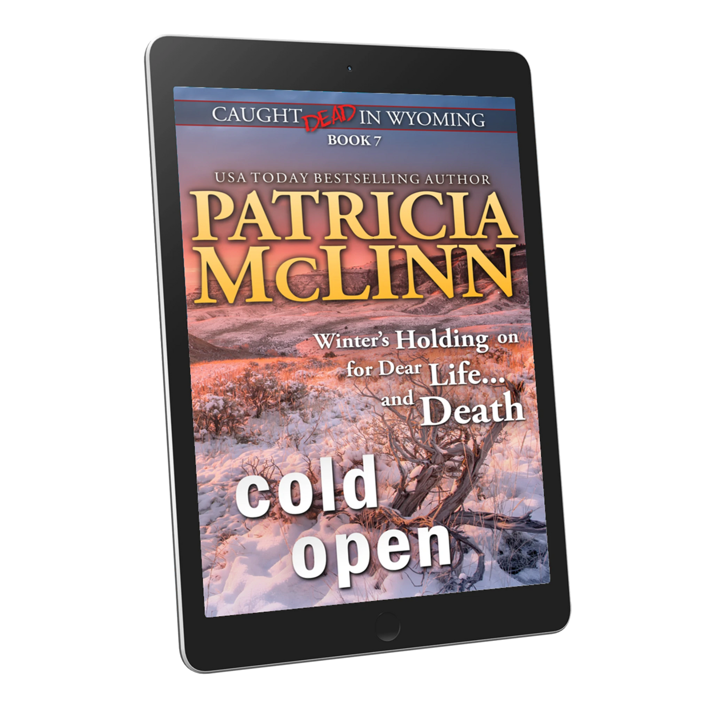 Cold Open (ebook)