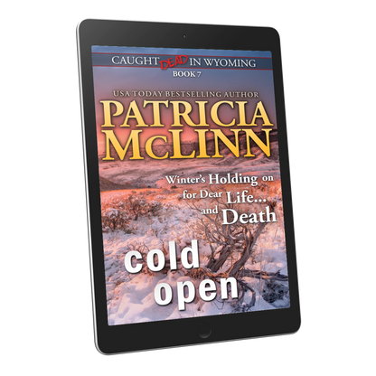 Cold Open (ebook)