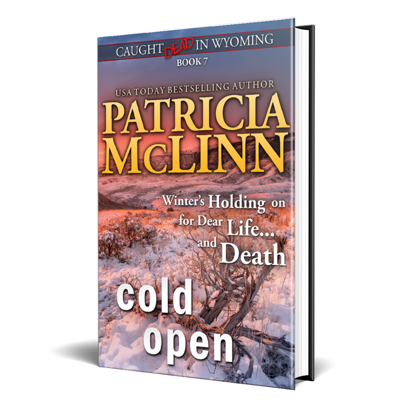 Cold Open (hardback)