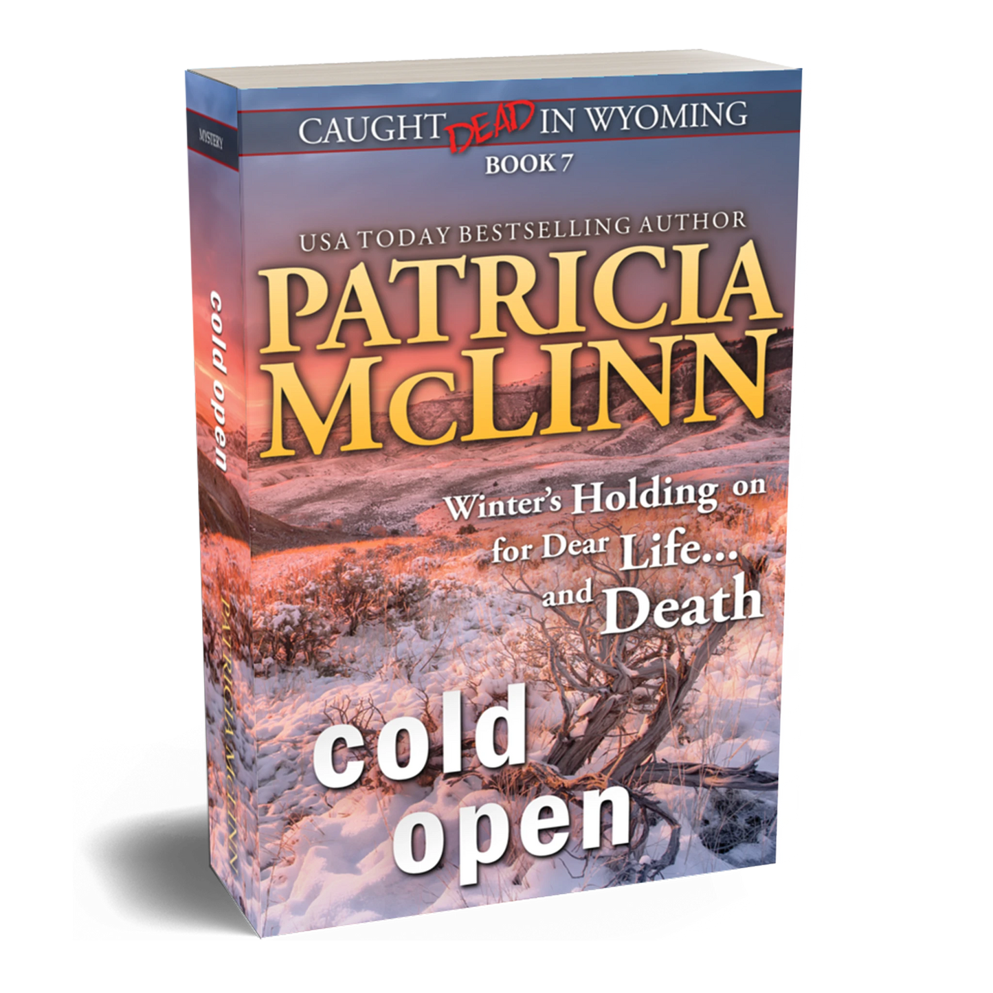 Cold Open (paperback)