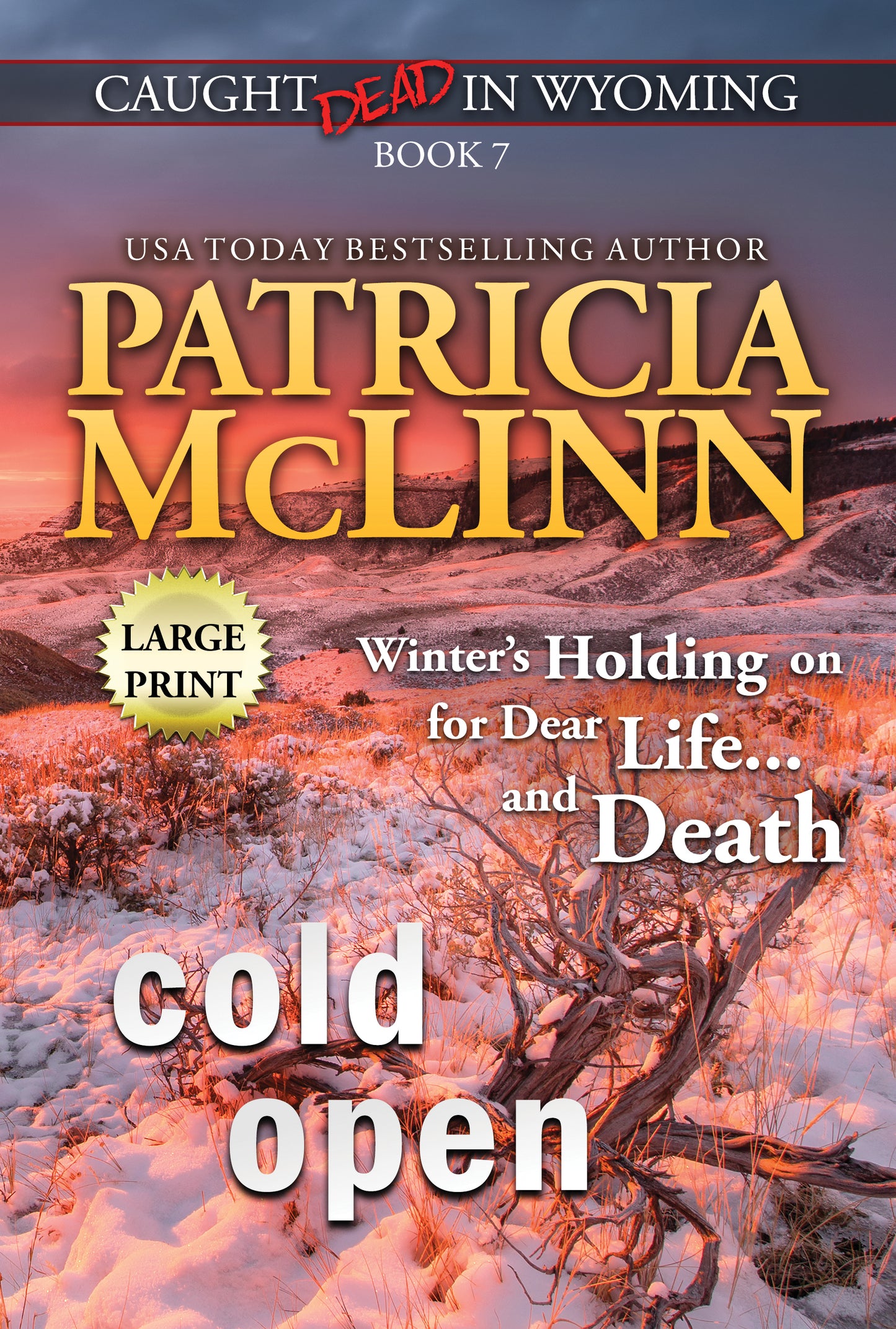 Cold Open: Large Print - Patricia McLinn