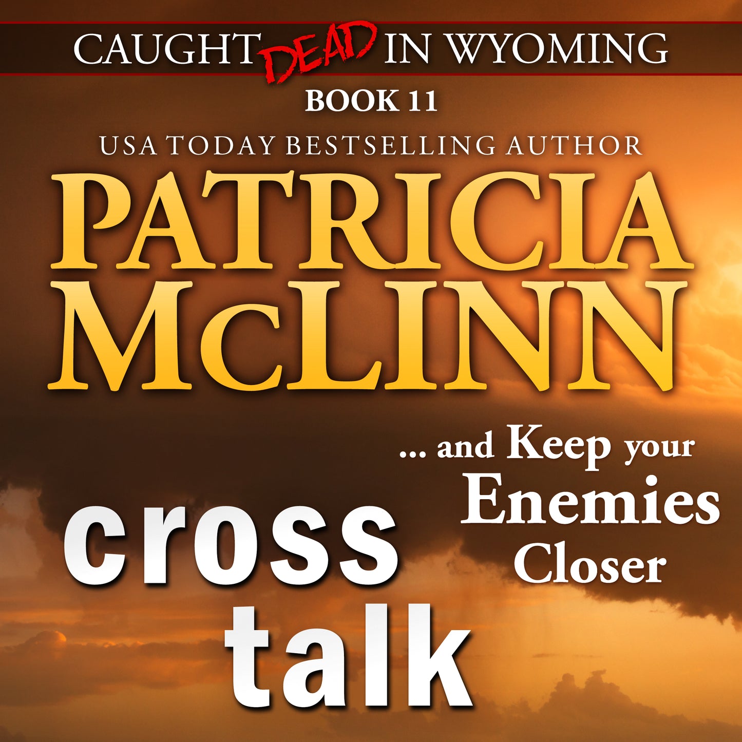 Cross Talk Audiobook - Patricia McLinn