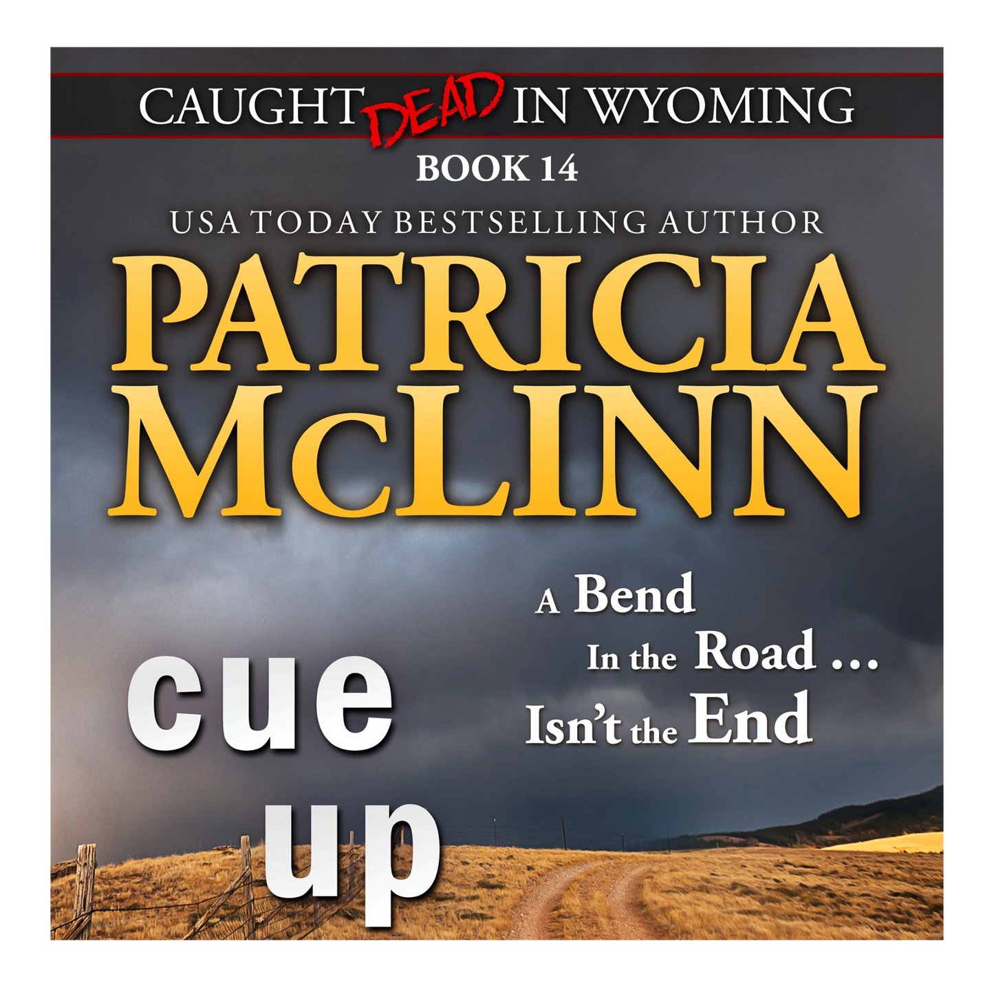 Cue Up (audiobook)