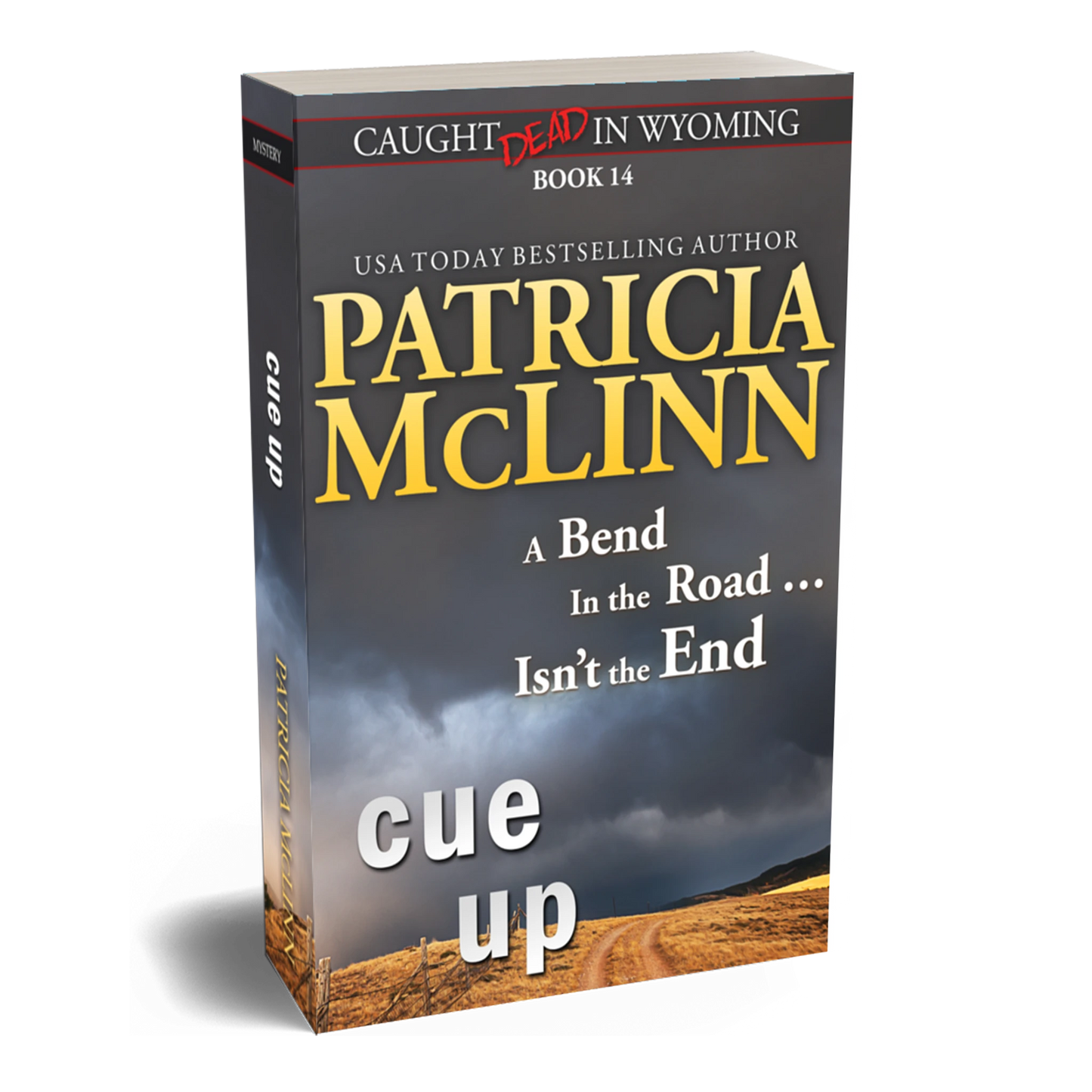 Cue Up (paperback)