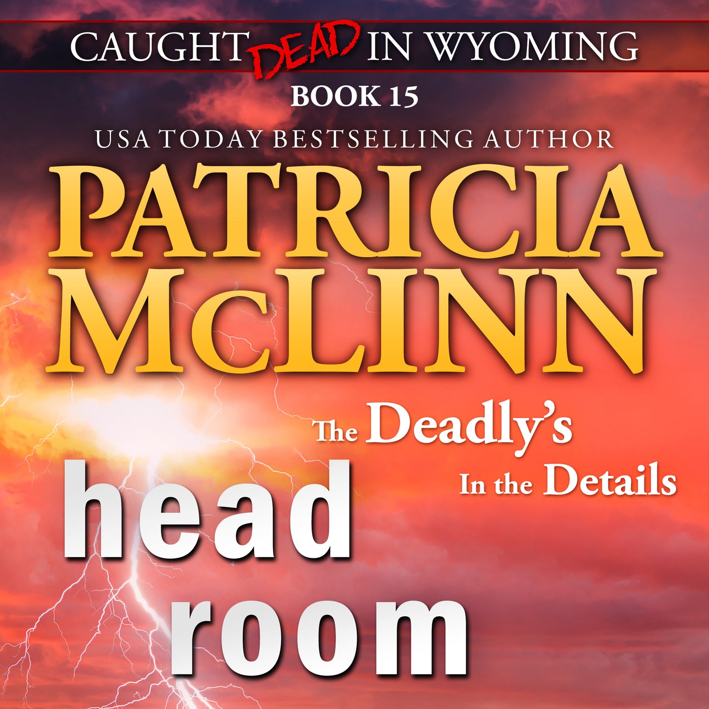 Head Room (audiobook)