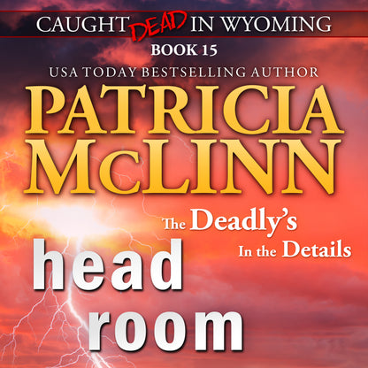 Head Room (audiobook)